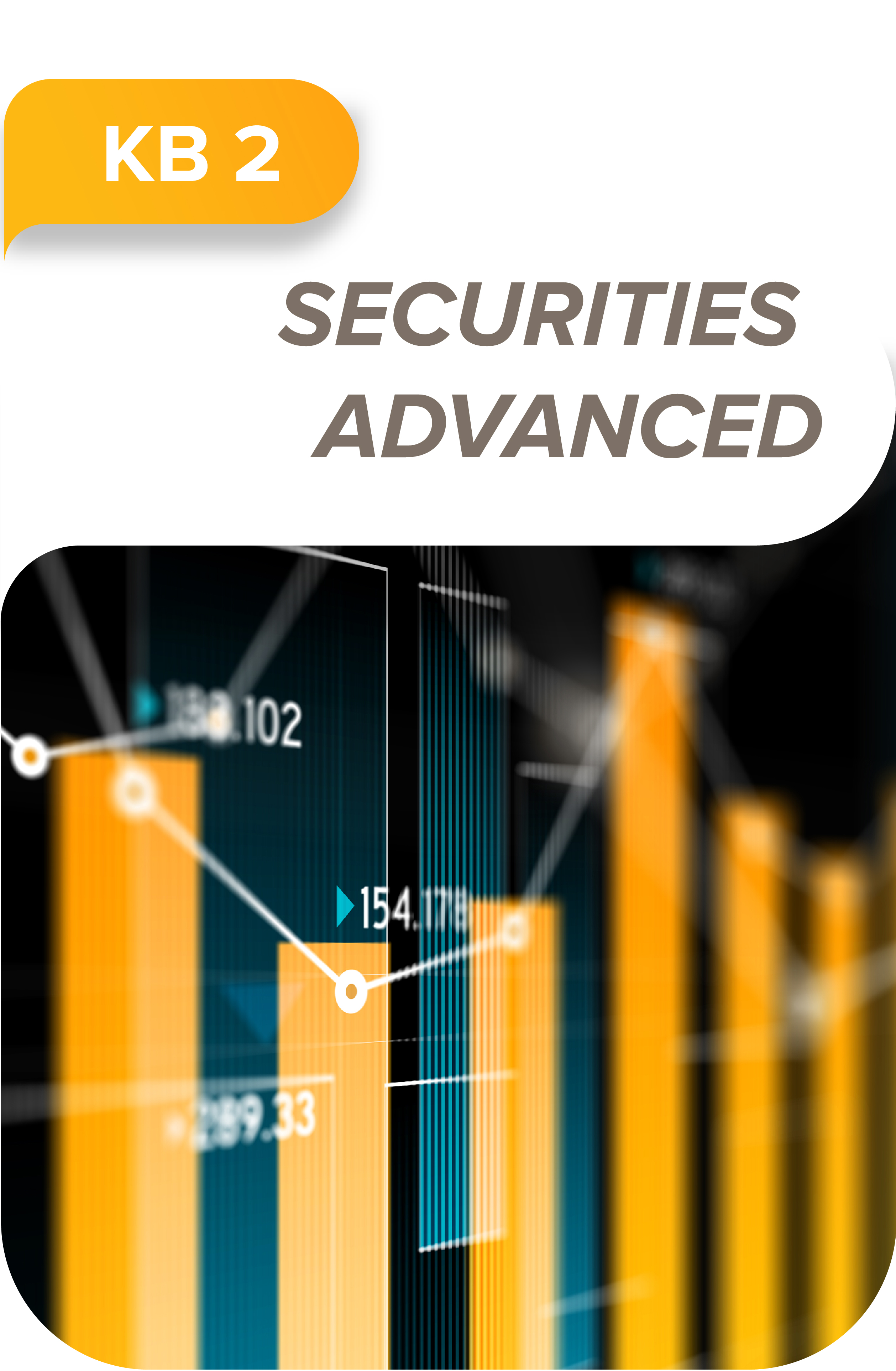  Securities advanced