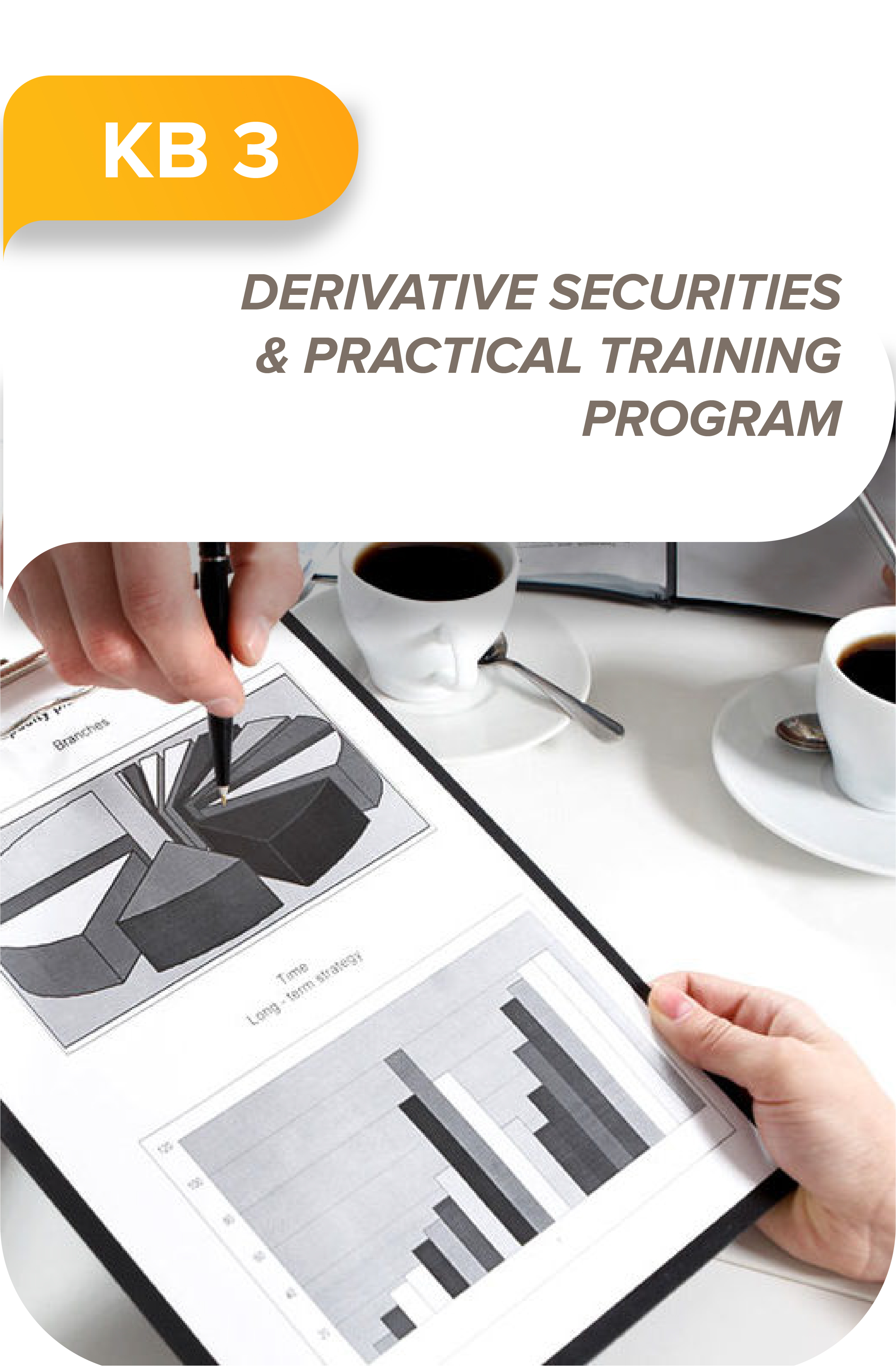 Derivative securities and practical programs