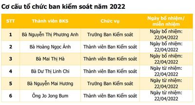 Cơ cấu tổ chức ban kiểm soát
