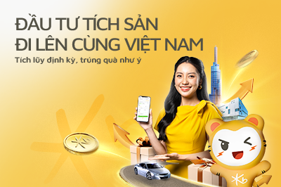 Chương trình Đầu tư tích sản - Đi lên cùng Việt Nam